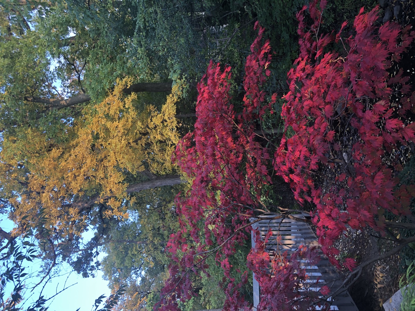 11515 Burr Oak Lane Burr Ridge, IL 60527 - Photo 73 of 73