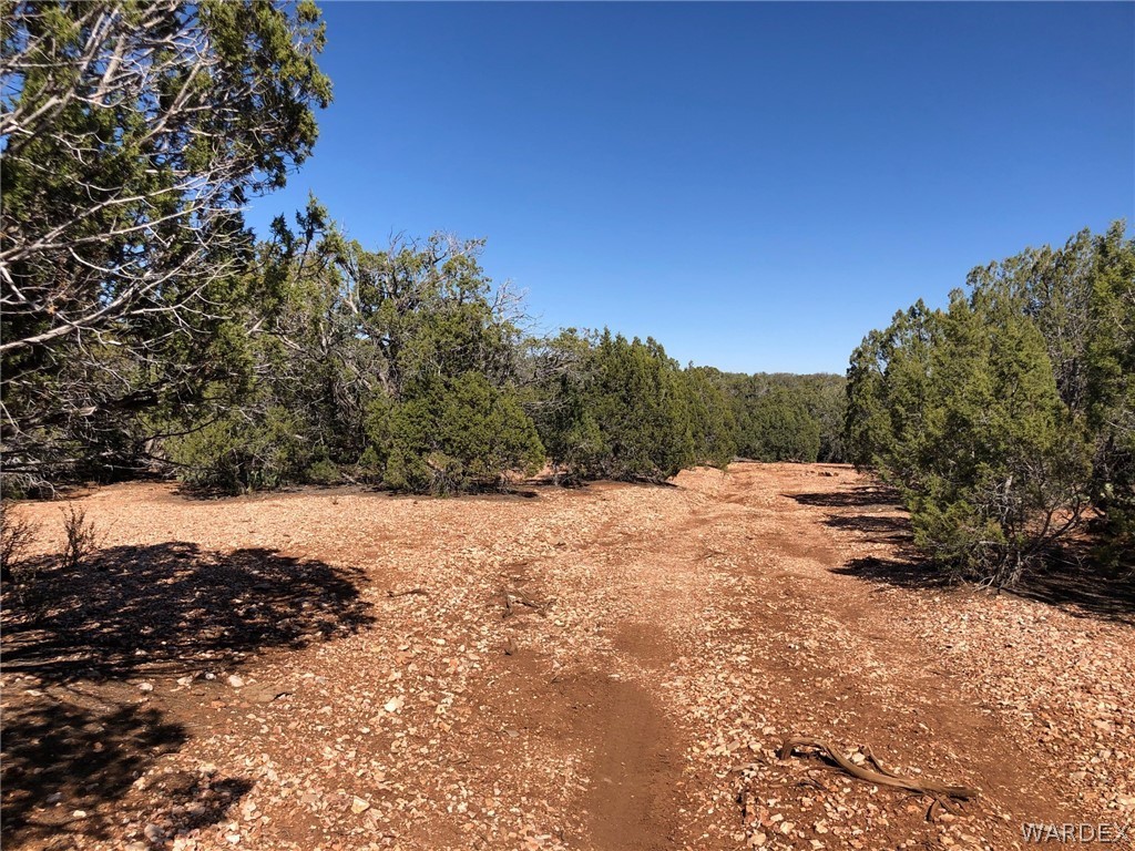 Lot 8 Sidwell Road Seligman, AZ 86337 - Photo 11 of 44 Gallery Image 11