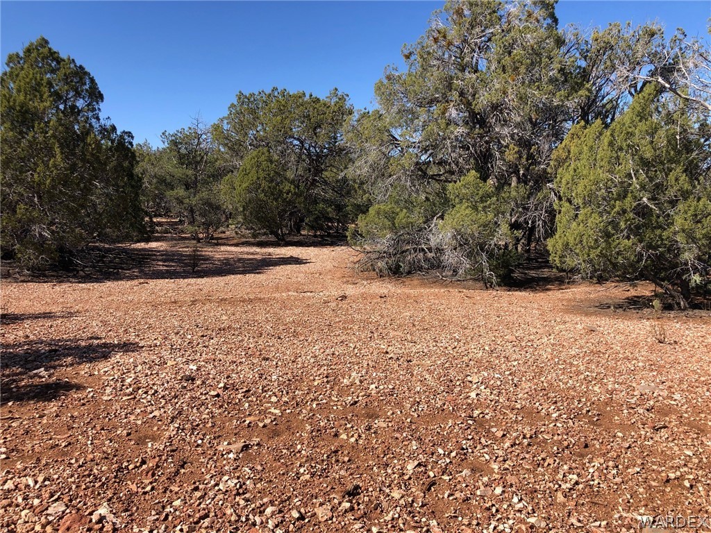 Lot 8 Sidwell Road Seligman, AZ 86337 - Photo 12 of 44 Gallery Image 12