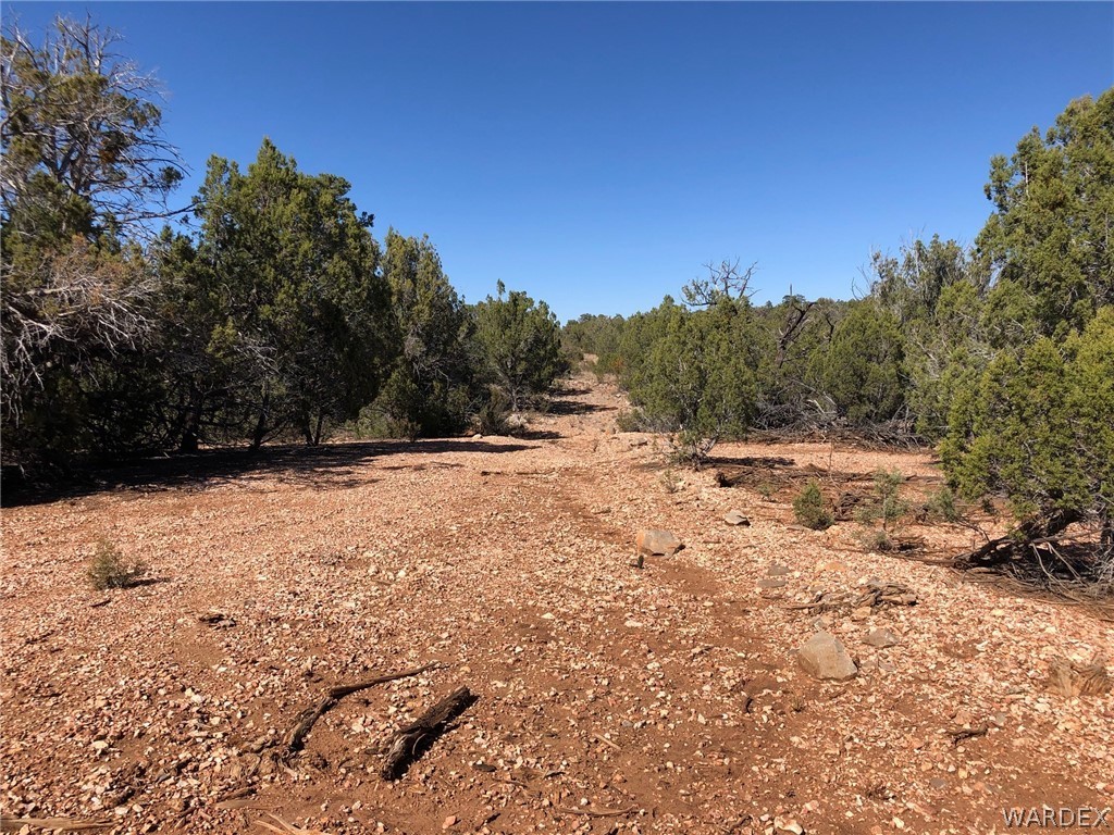 Lot 8 Sidwell Road Seligman, AZ 86337 - Photo 13 of 44 Gallery Image 13