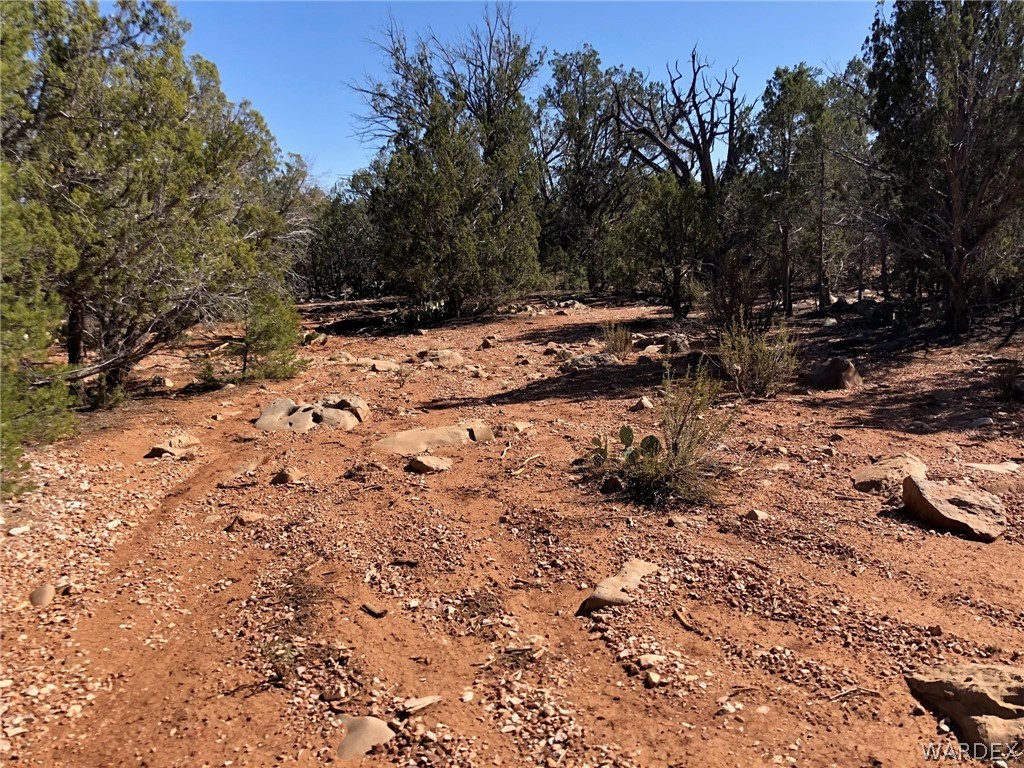 Lot 8 Sidwell Road Seligman, AZ 86337 - Photo 15 of 44 Gallery Image 15