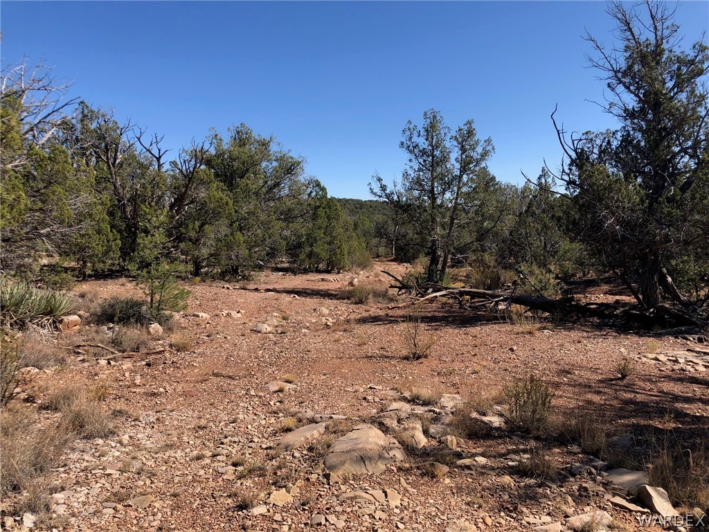Lot 8 Sidwell Road Seligman, AZ 86337 - Photo 18 of 44 Gallery Image 18