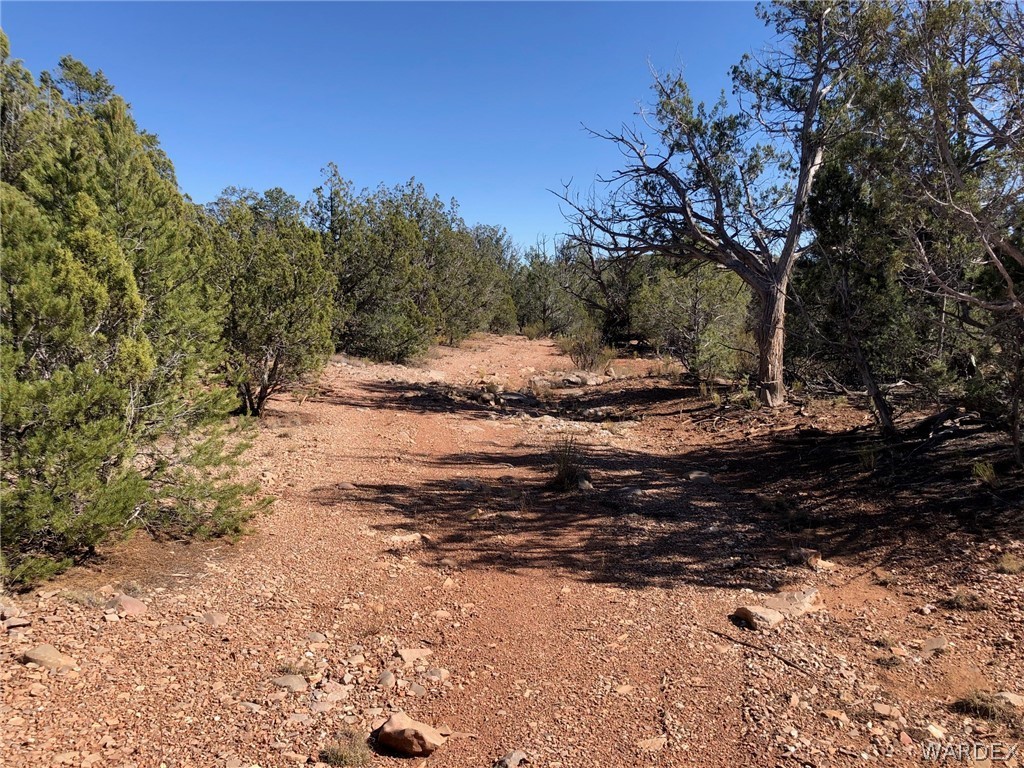 Lot 8 Sidwell Road Seligman, AZ 86337 - Photo 19 of 44 Gallery Image 19