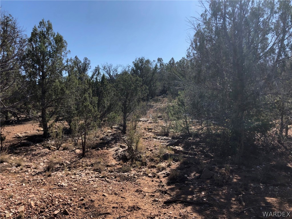 Lot 8 Sidwell Road Seligman, AZ 86337 - Photo 20 of 44 Gallery Image 20