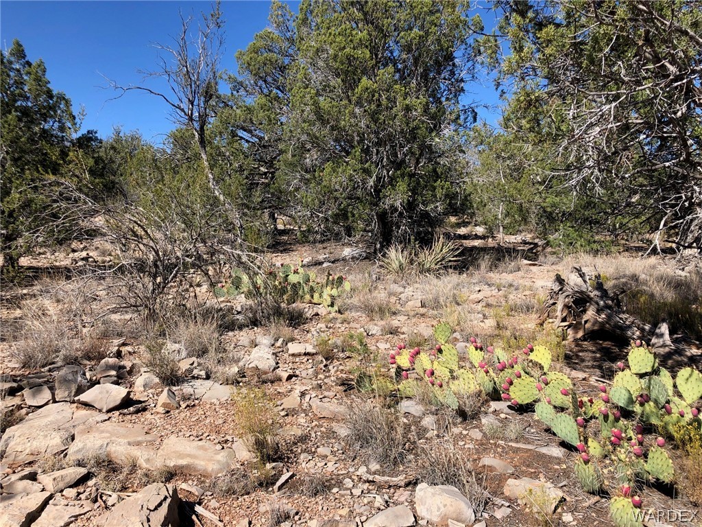 Lot 8 Sidwell Road Seligman, AZ 86337 - Photo 22 of 44 Gallery Image 22