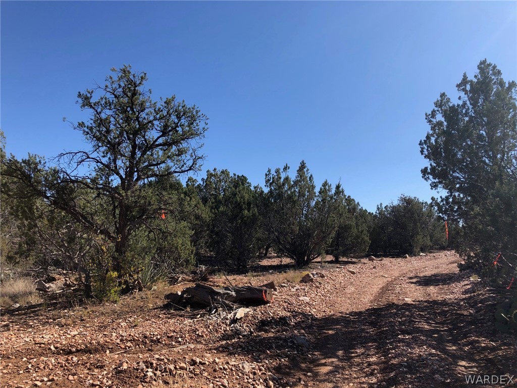 Lot 8 Sidwell Road Seligman, AZ 86337 - Photo 3 of 44 Gallery Image 3