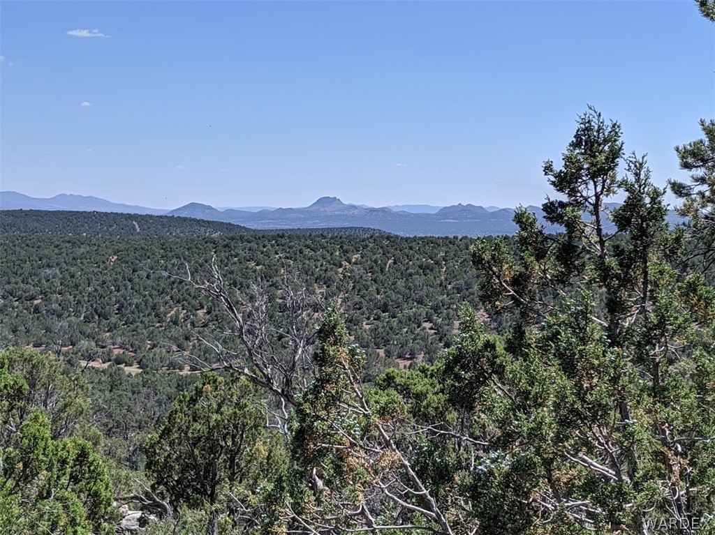 Lot 8 Sidwell Road Seligman, AZ 86337 - Photo 38 of 44 Gallery Image 38