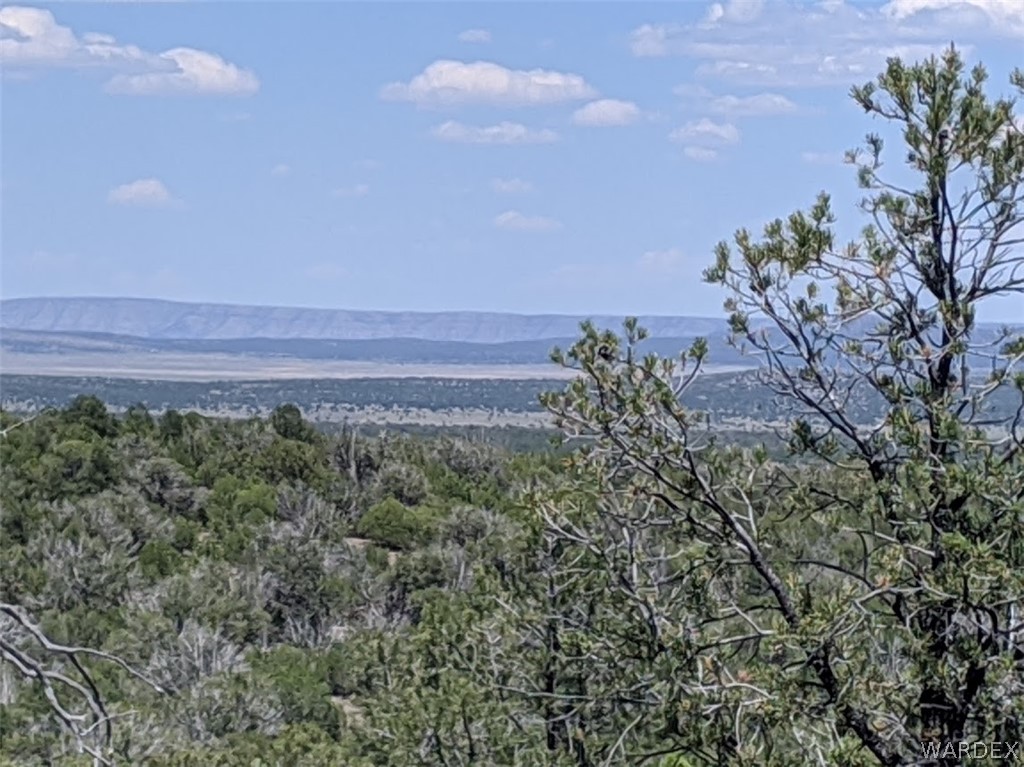 Lot 8 Sidwell Road Seligman, AZ 86337 - Photo 39 of 44 Gallery Image 39