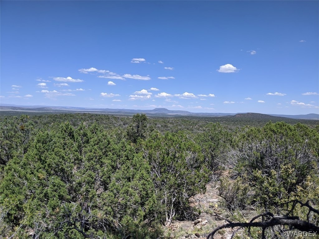 Lot 8 Sidwell Road Seligman, AZ 86337 - Photo 41 of 44 Gallery Image 41