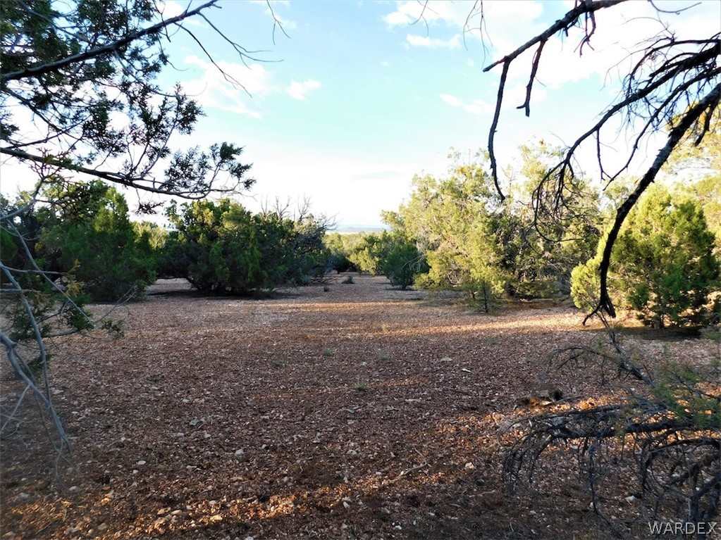 Lot 8 Sidwell Road Seligman, AZ 86337 - Photo 43 of 44 Gallery Image 43