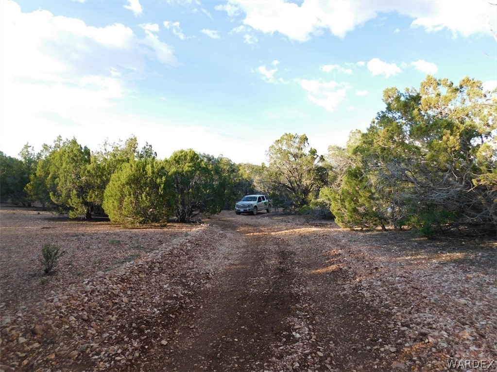 Lot 8 Sidwell Road Seligman, AZ 86337 - Photo 44 of 44 Gallery Image 44