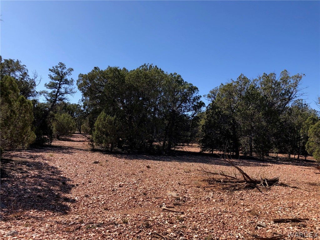 Lot 8 Sidwell Road Seligman, AZ 86337 - Photo 5 of 44 Gallery Image 5