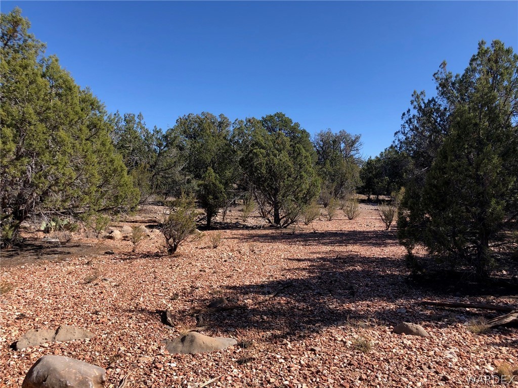 Lot 8 Sidwell Road Seligman, AZ 86337 - Photo 6 of 44 Gallery Image 6