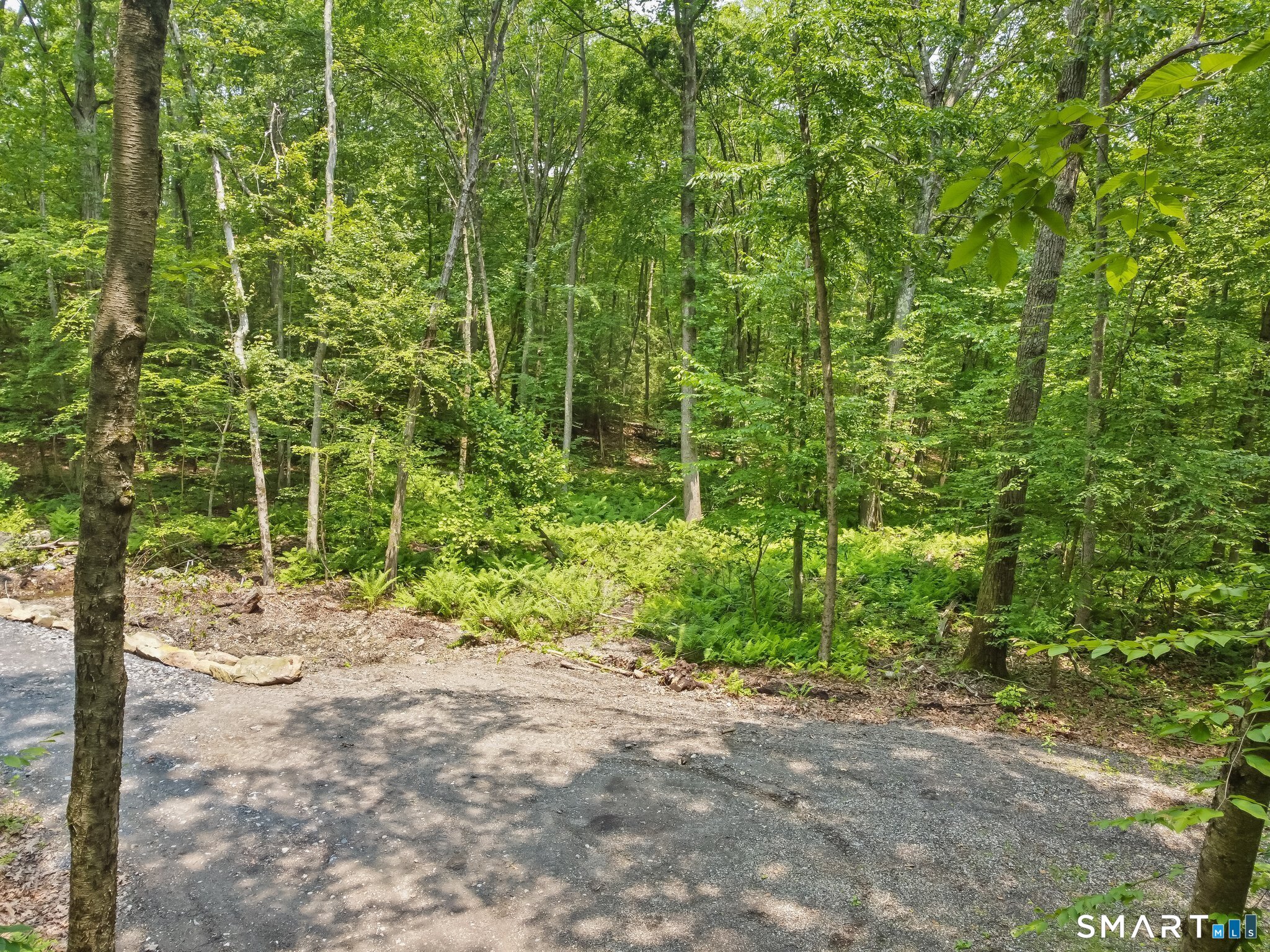 Parcel B Moose Hill Road Oxford, CT 06478 - Photo 6 of 13