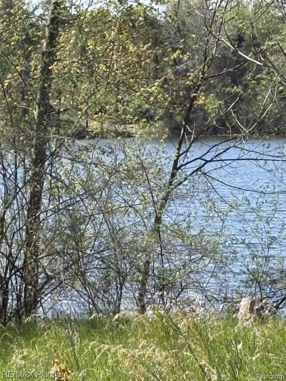 1 Edgemont Drive Drive Howell, MI 48855 - Photo 17 of 19