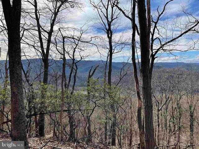 Hopkins Gap Road Fulks Run, VA 22830 - Photo 27 of 75 Gallery Image 27