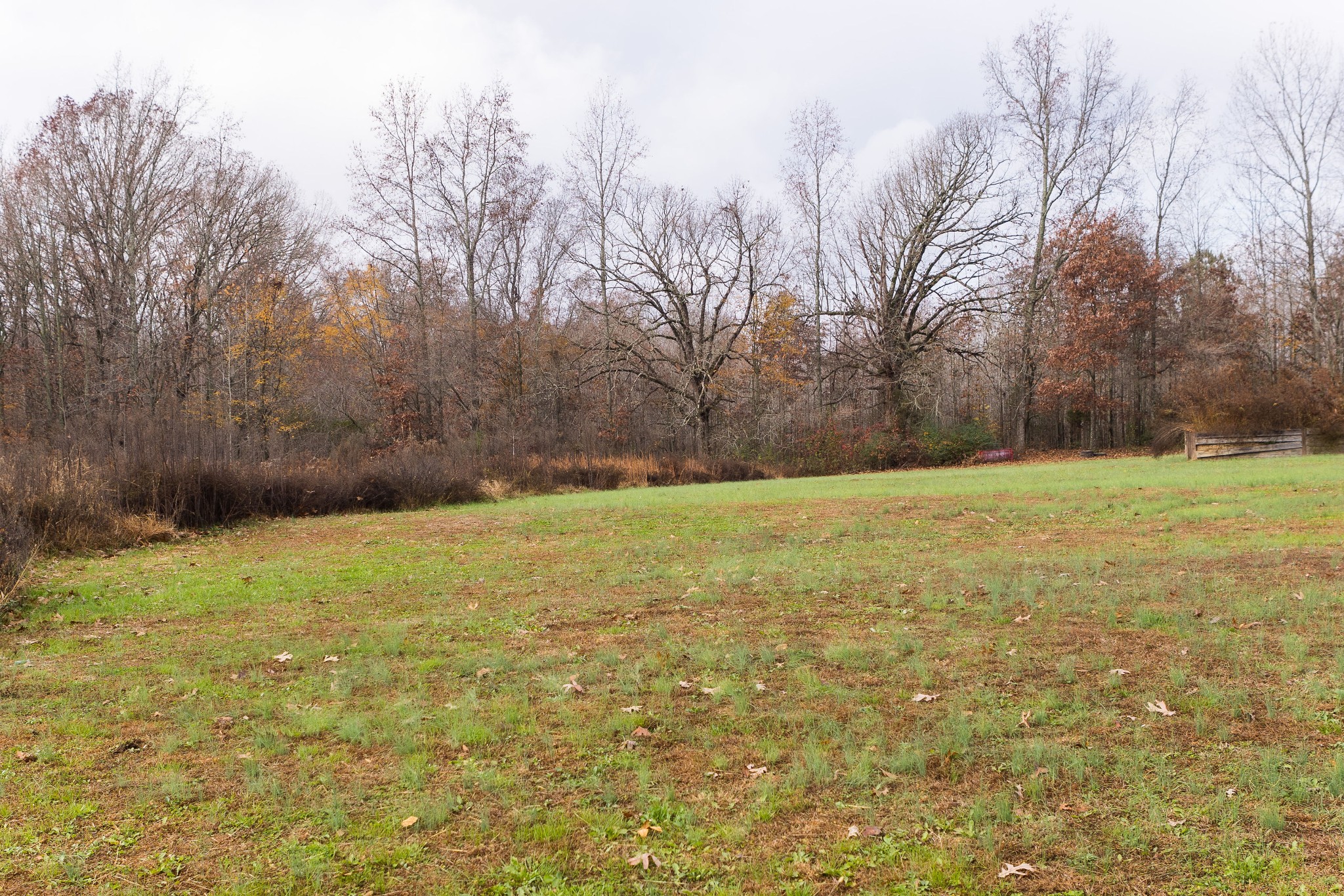 658 Springwater Drive Summertown, TN 38483 - Photo 27 of 29