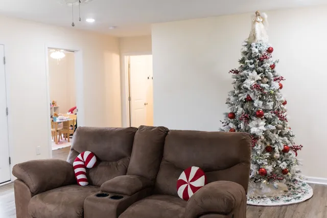 a living room with furniture and a potted plant