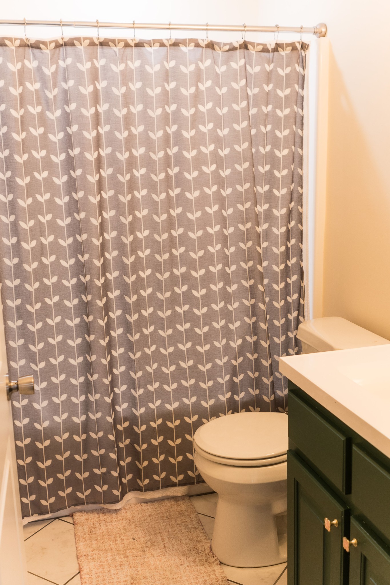 658 Springwater Drive Summertown, TN 38483 - Photo 8 of 29