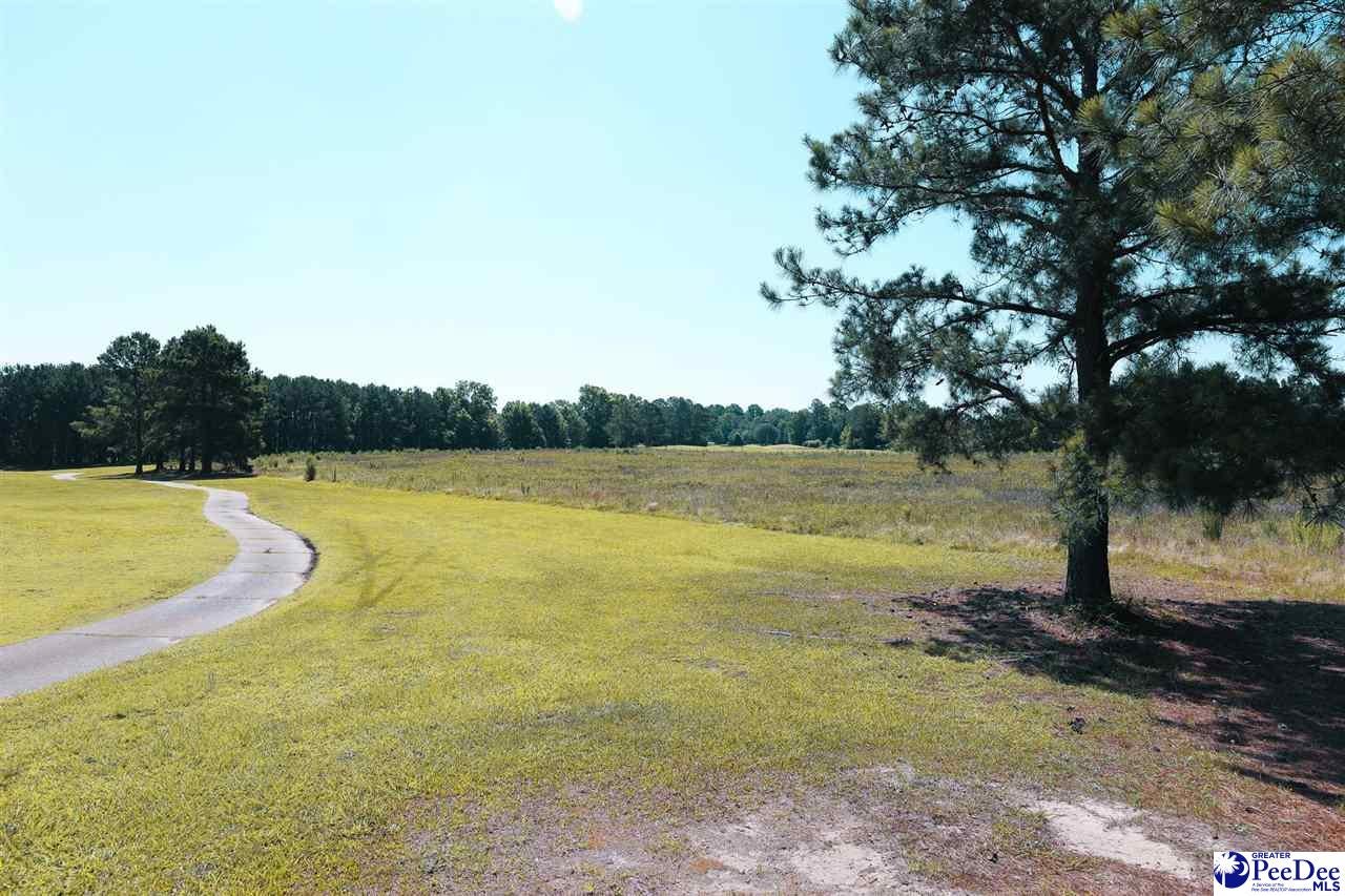 72-acres Claussen Road Florence, SC 29505 - Photo 7 of 8 Gallery Image 7