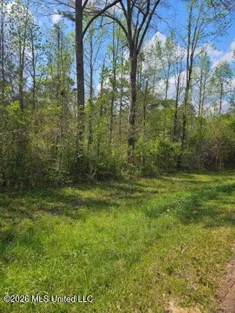 $155,000 | 55 South Interstate 55, Liberty, MS 39645