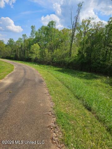 55 South Interstate 55 Liberty, MS 39645 - Photo 2 of 3 Quilivan Rd. 4