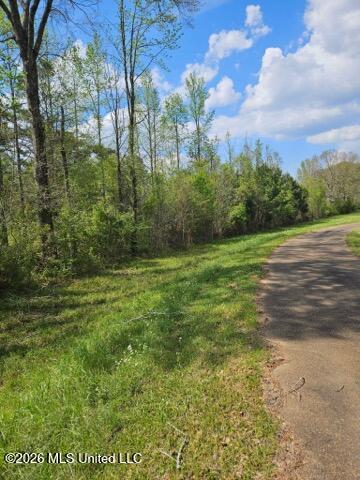 55 South Interstate 55 Liberty, MS 39645 - Photo 3 of 3 Quilivan Rd. 5