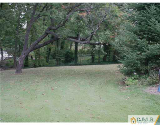 9 Agate Road East Brunswick, NJ 08816 - Photo 11 of 19 a view of a field with trees in the background