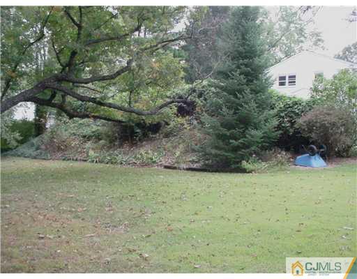 9 Agate Road East Brunswick, NJ 08816 - Photo 14 of 19 a view of a field with an trees