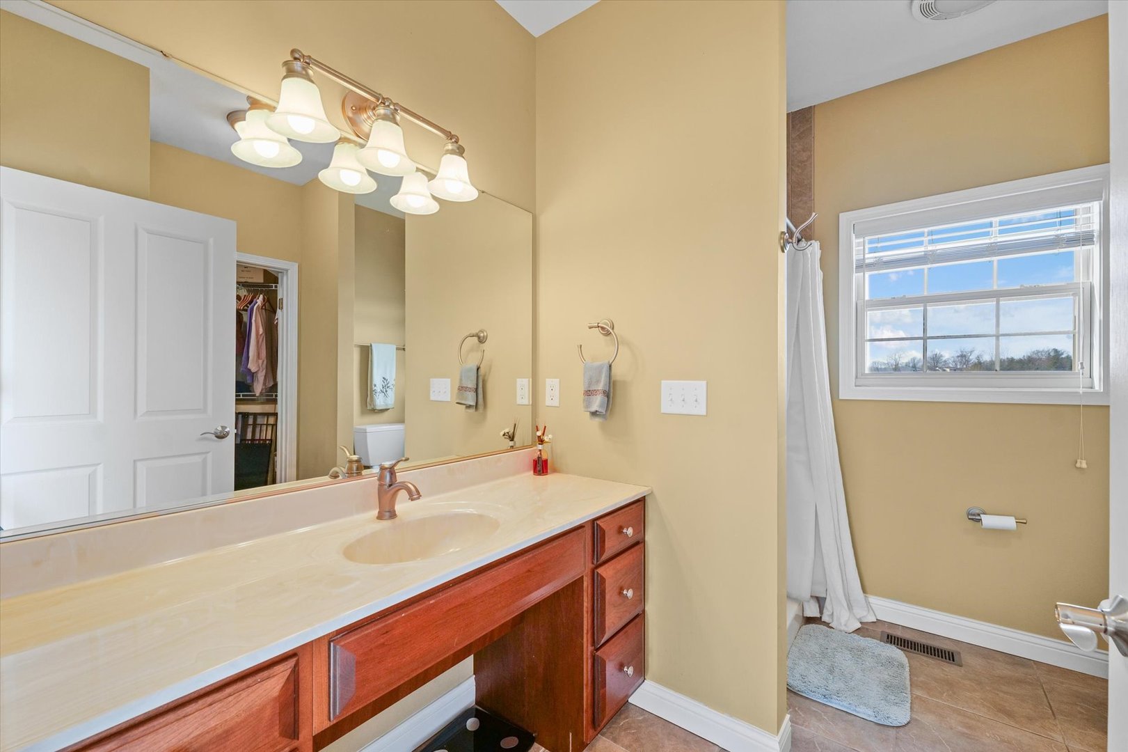 2595 500 East Mahomet, IL 61853 - Photo 25 of 84 a bathroom with a sink a mirror and a light fixture