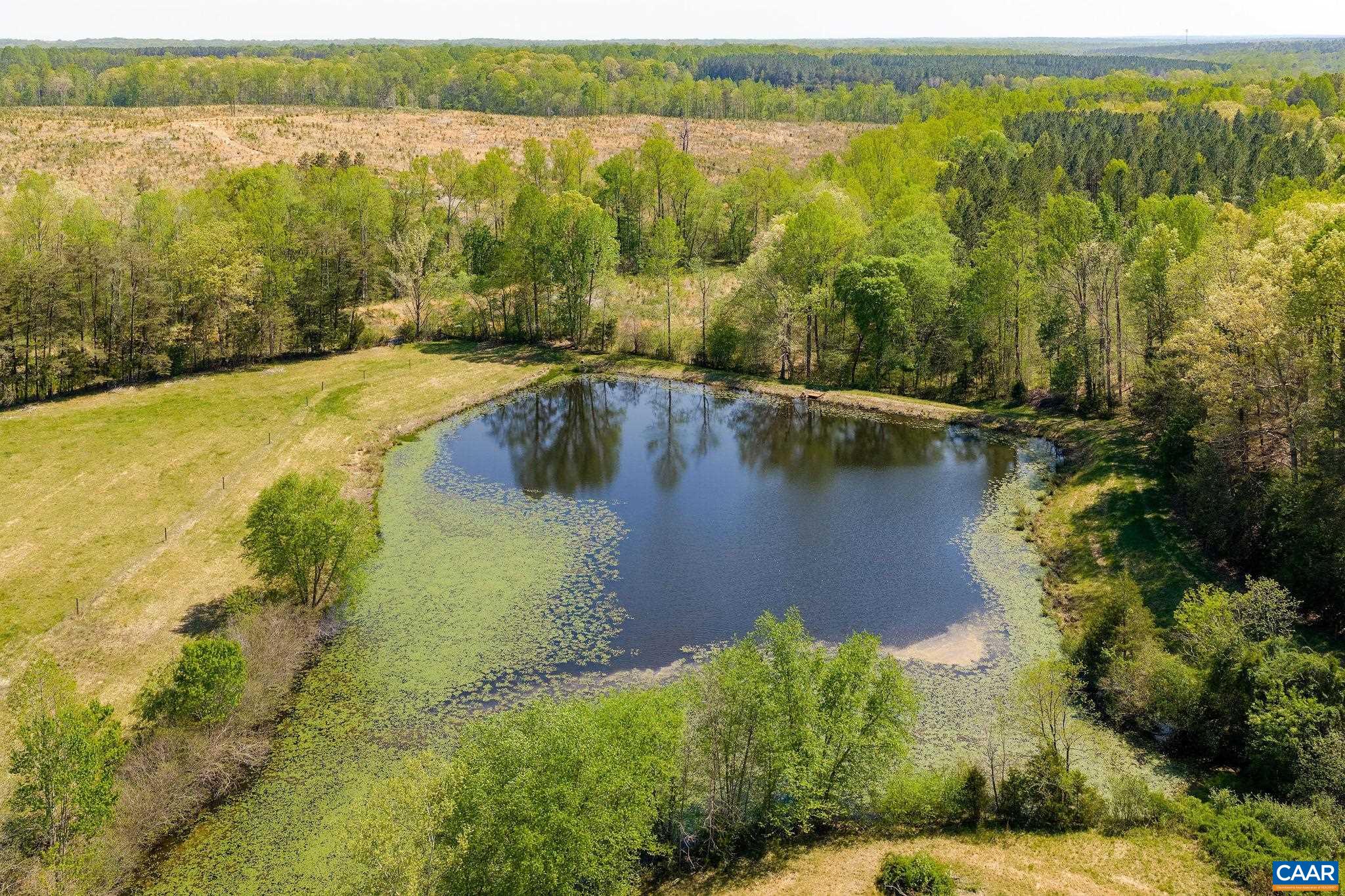 Tbd Cedar Plains Road Sandy Hook, VA 23153 - Photo 20 of 55 a view of a lake with a yard