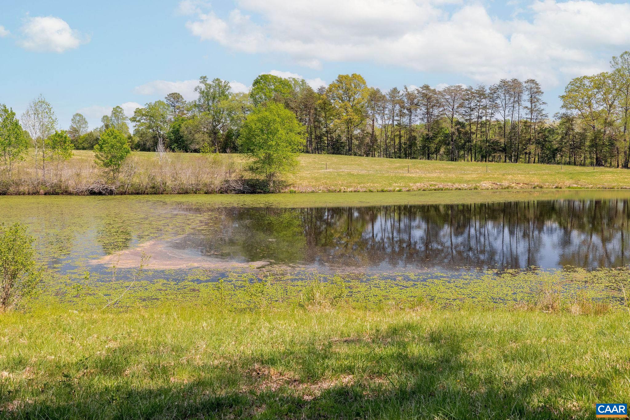 Tbd Cedar Plains Road Sandy Hook, VA 23153 - Photo 21 of 55 a view of a lake with a big yard