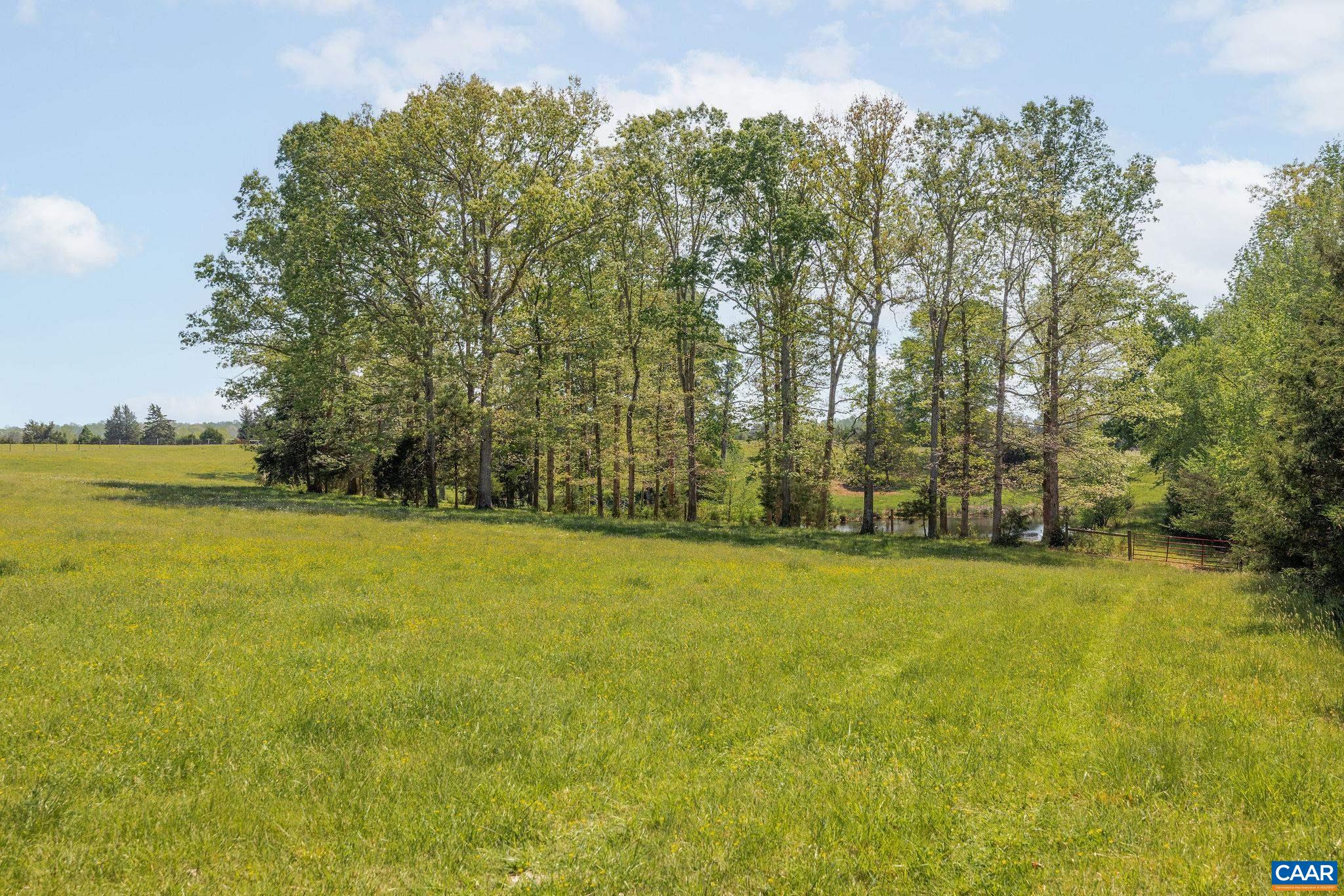 Tbd Cedar Plains Road Sandy Hook, VA 23153 - Photo 42 of 55 a view of a yard with an trees