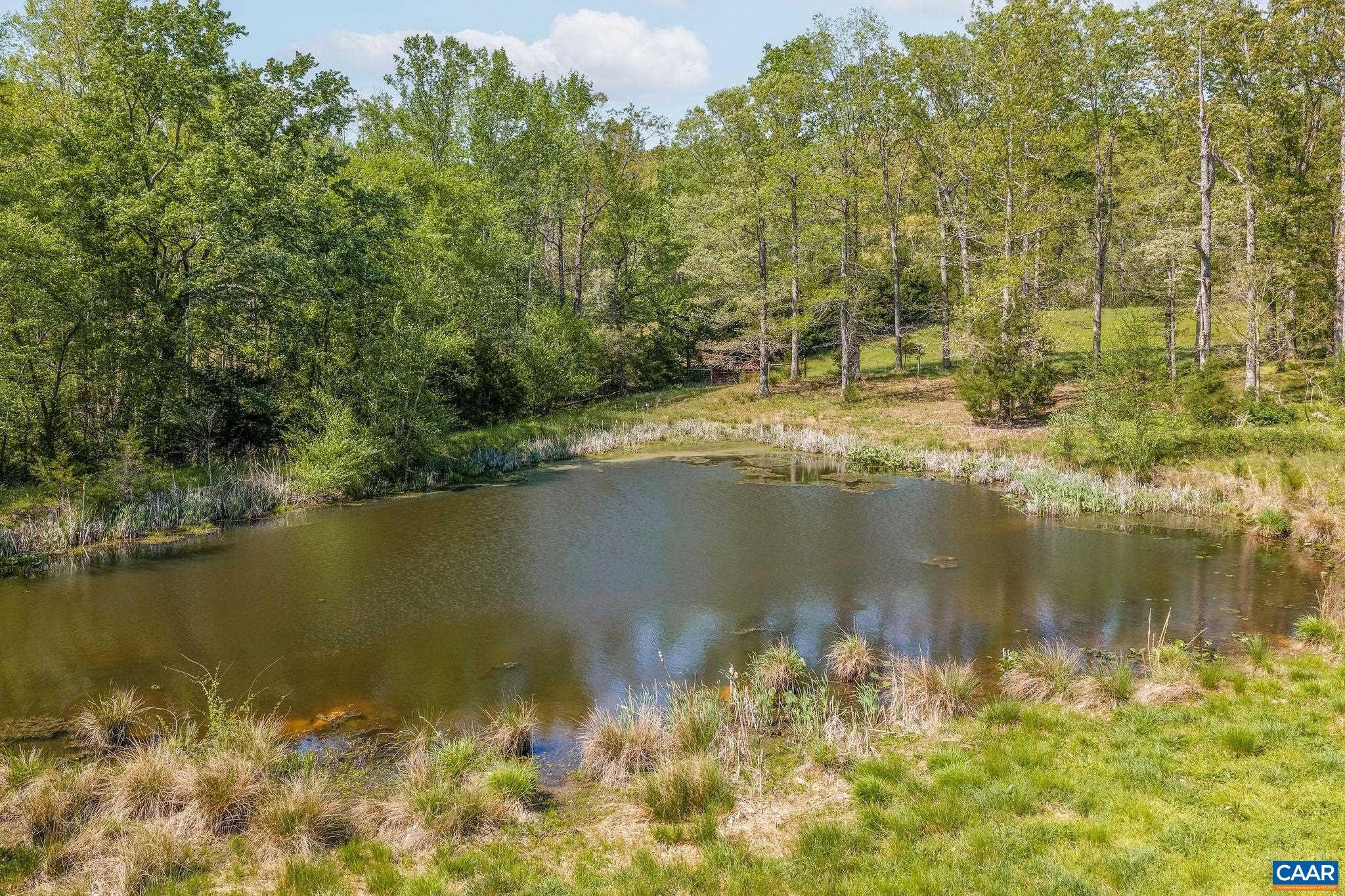 Tbd Cedar Plains Road Sandy Hook, VA 23153 - Photo 43 of 55