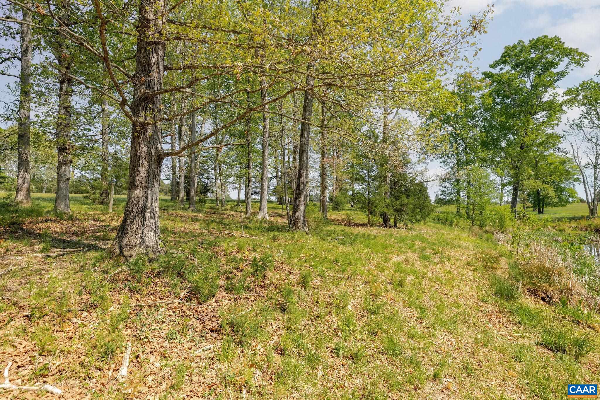 Tbd Cedar Plains Road Sandy Hook, VA 23153 - Photo 45 of 55 a backyard of a house with large trees