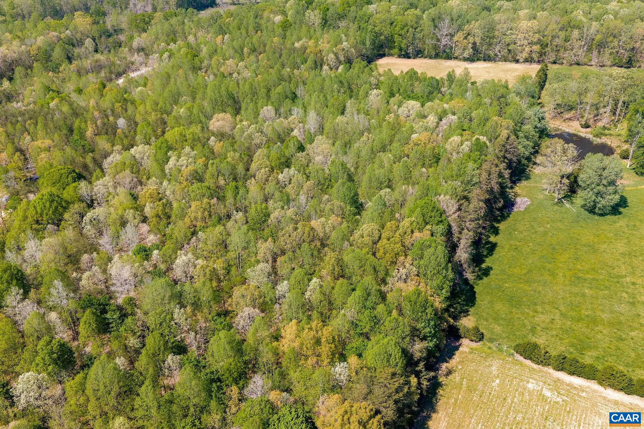 Tbd Cedar Plains Road Sandy Hook, VA 23153 - Photo 51 of 55 a view of a yard with plants and large trees