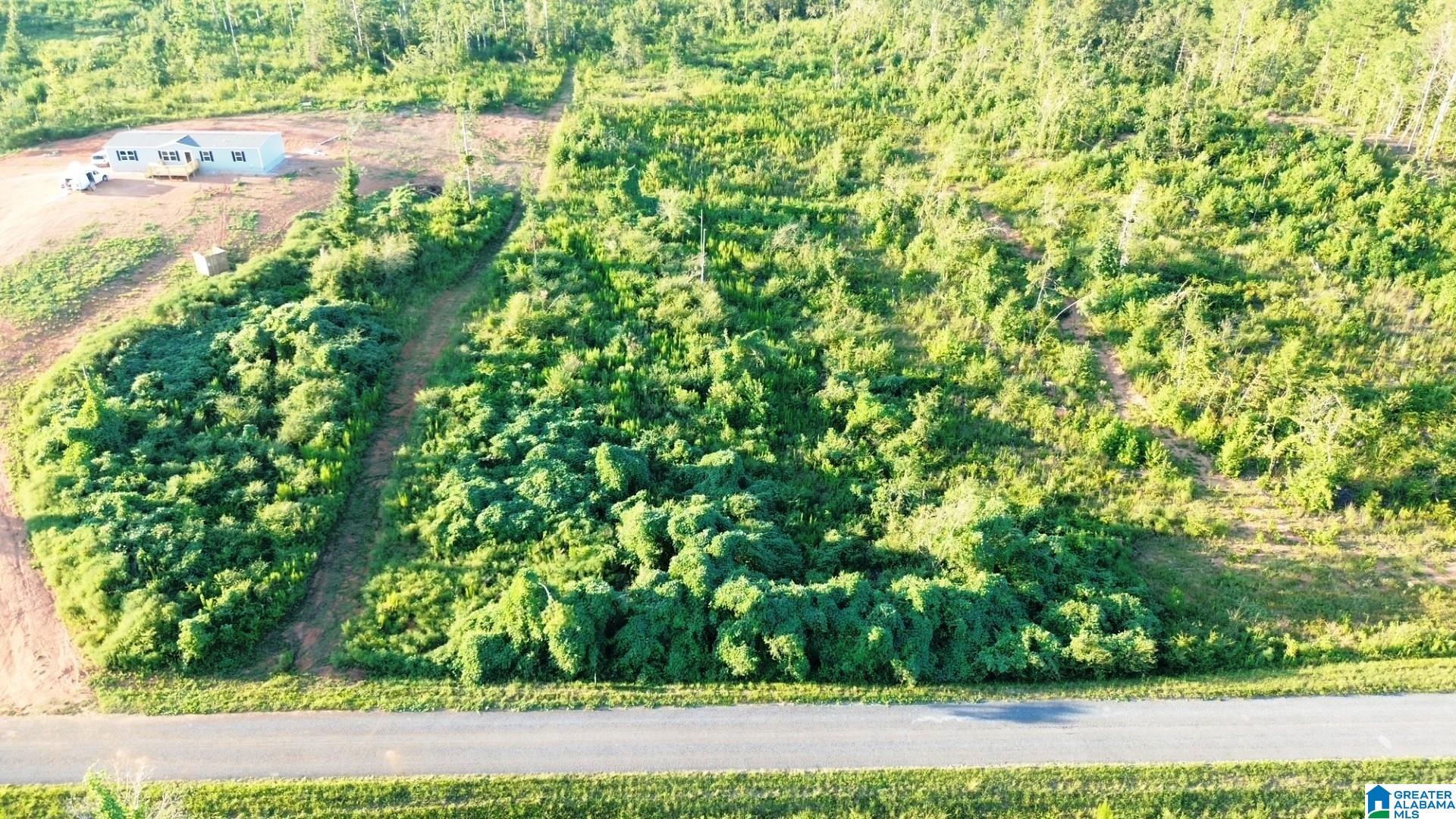 Parcel #6 Center Hill Road, Unit 4 01 ACRES Lineville, AL 36266 - Photo 2 of 3 Gallery Image 2