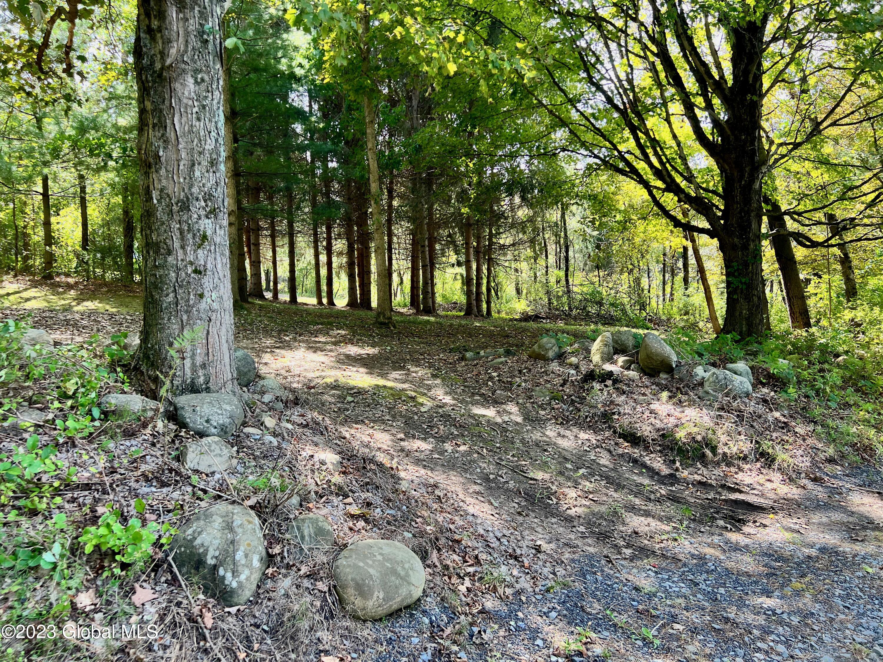 0 Pickle Hill Road Queensbury, NY 12804 - Photo 11 of 48 IMG_1523