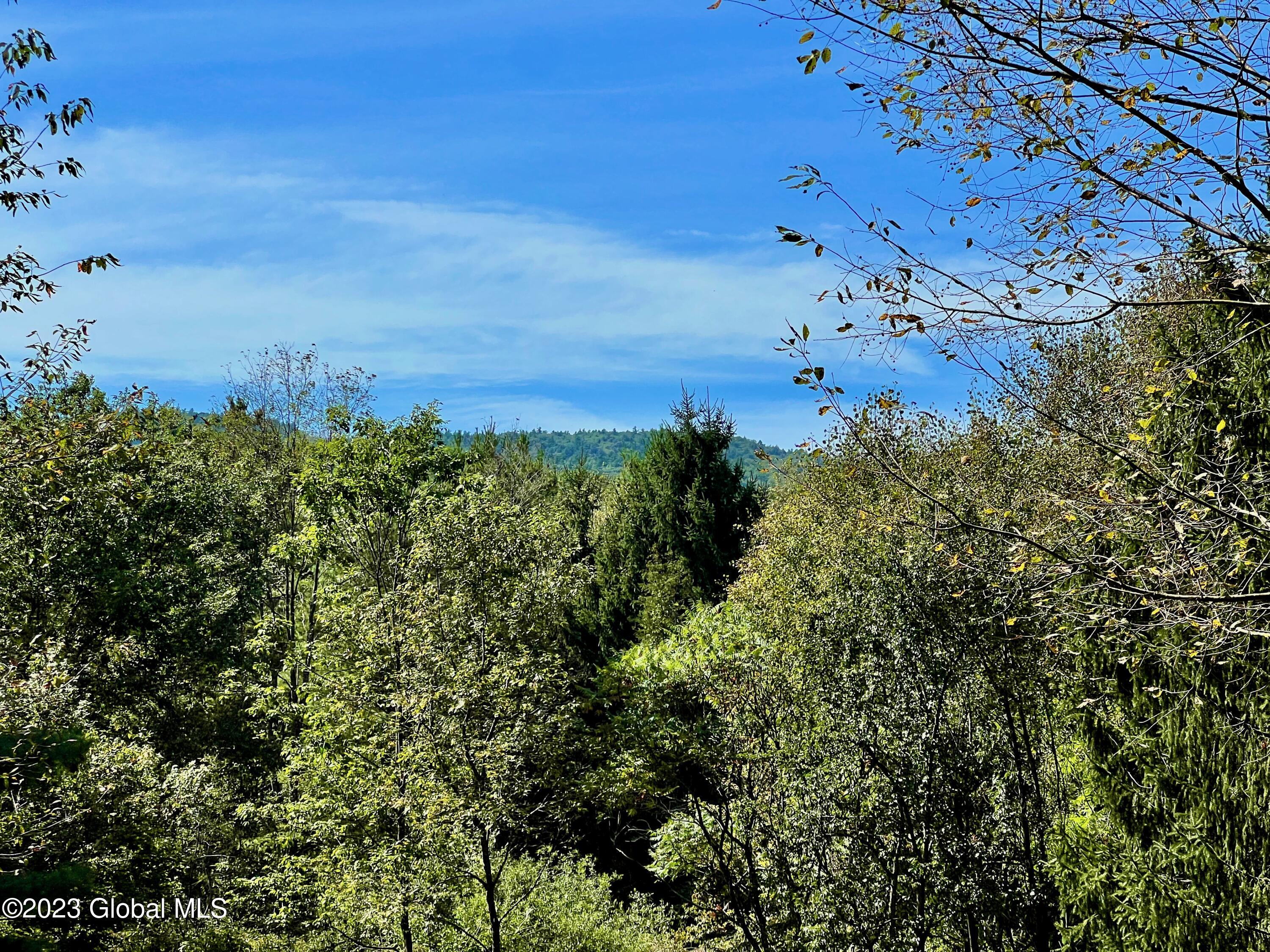 0 Pickle Hill Road Queensbury, NY 12804 - Photo 12 of 48 IMG_1641