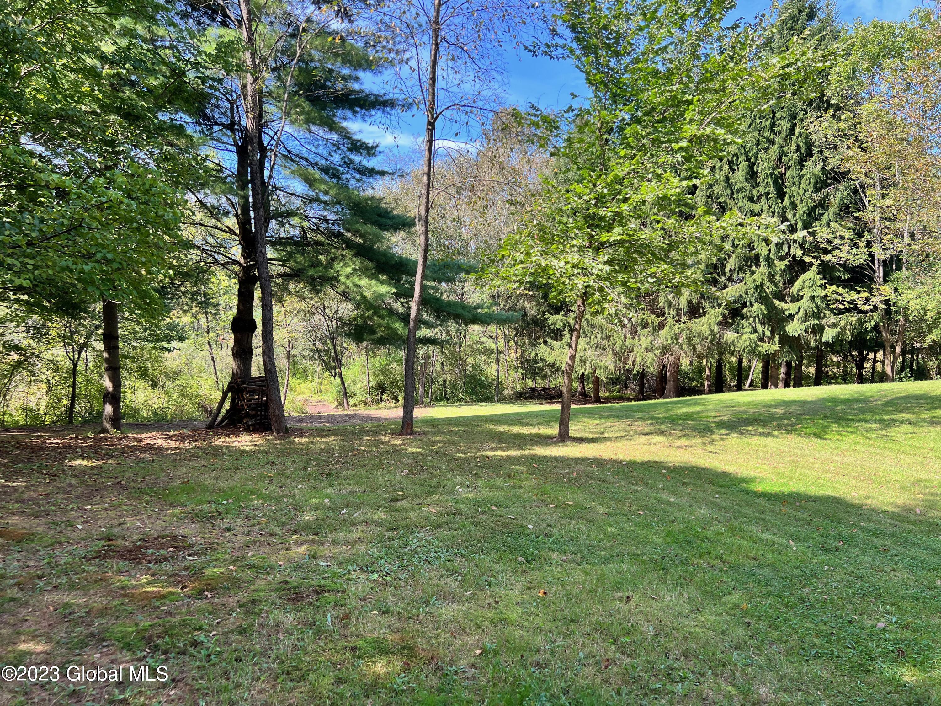 0 Pickle Hill Road Queensbury, NY 12804 - Photo 14 of 48 IMG_1622