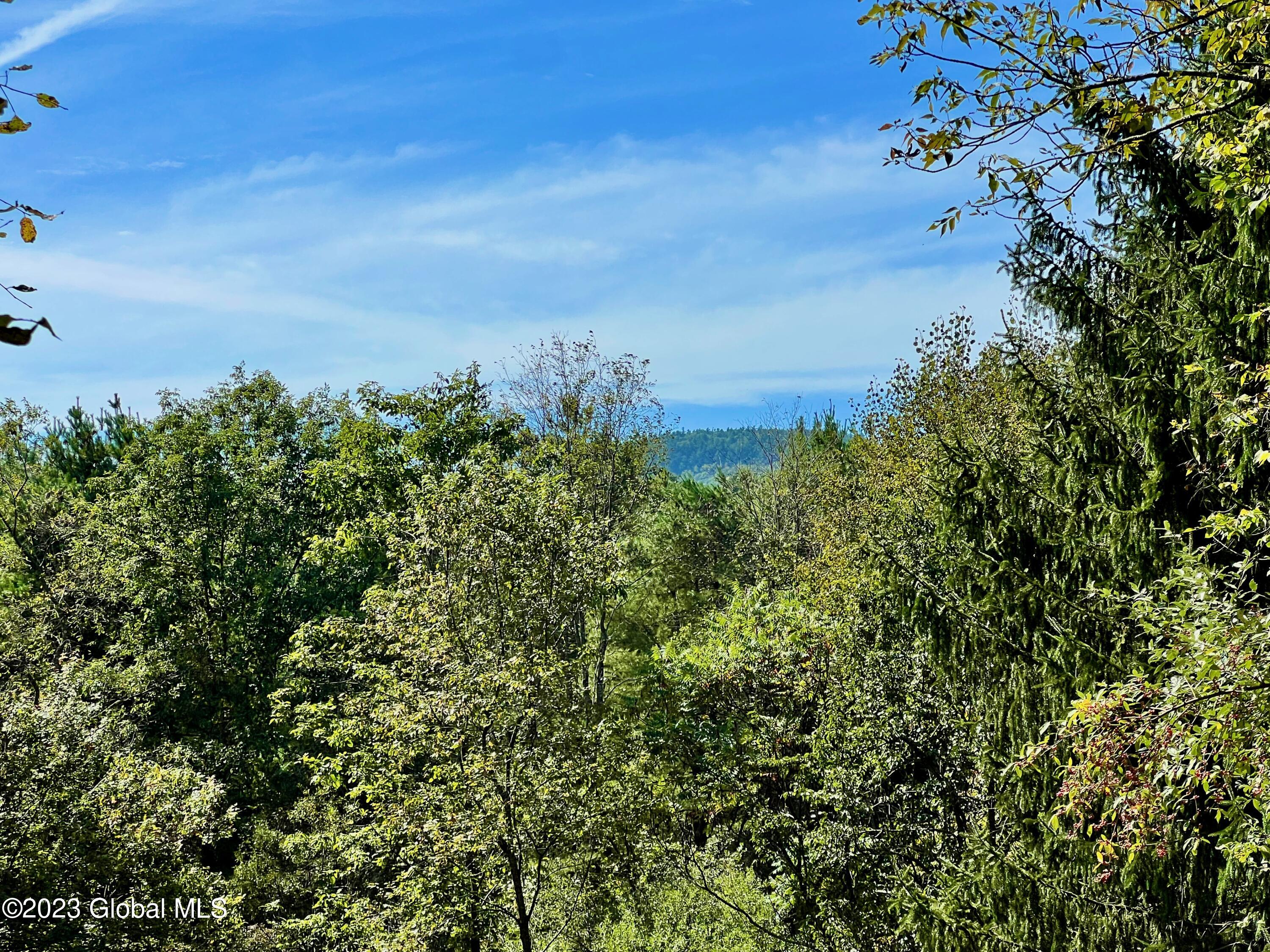 0 Pickle Hill Road Queensbury, NY 12804 - Photo 15 of 48 IMG_1670