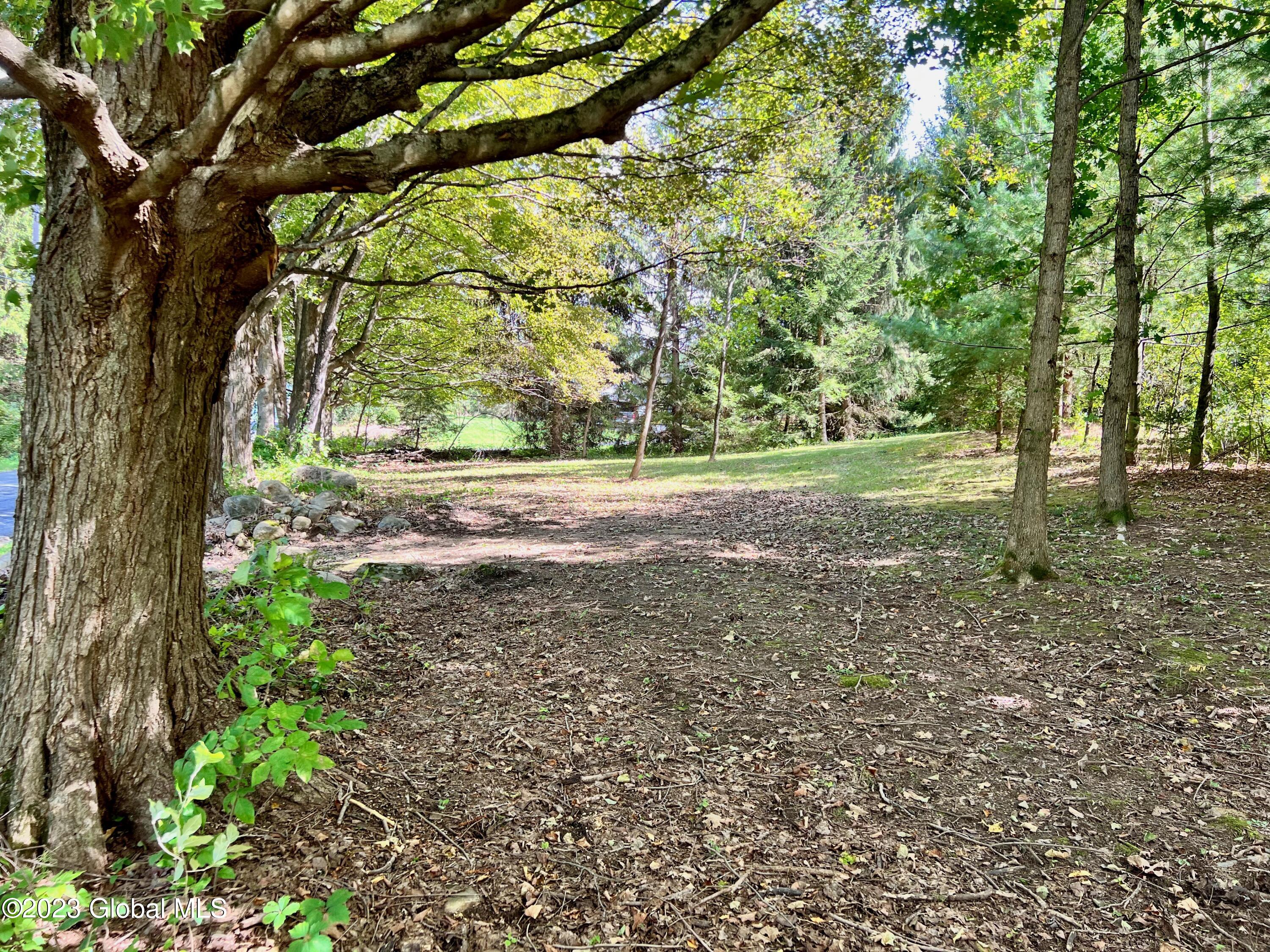 0 Pickle Hill Road Queensbury, NY 12804 - Photo 16 of 48 IMG_1530