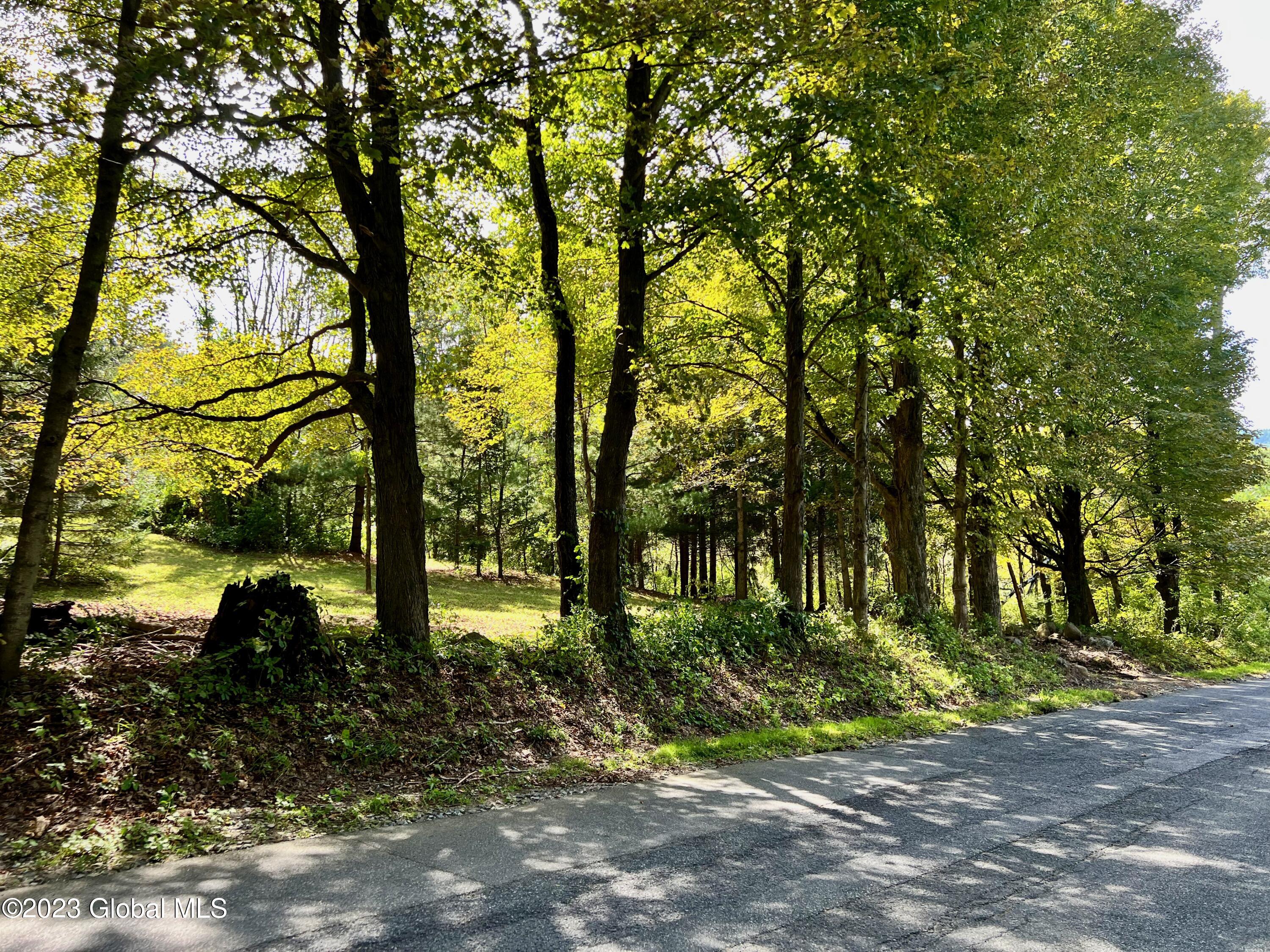 0 Pickle Hill Road Queensbury, NY 12804 - Photo 18 of 48 IMG_1521