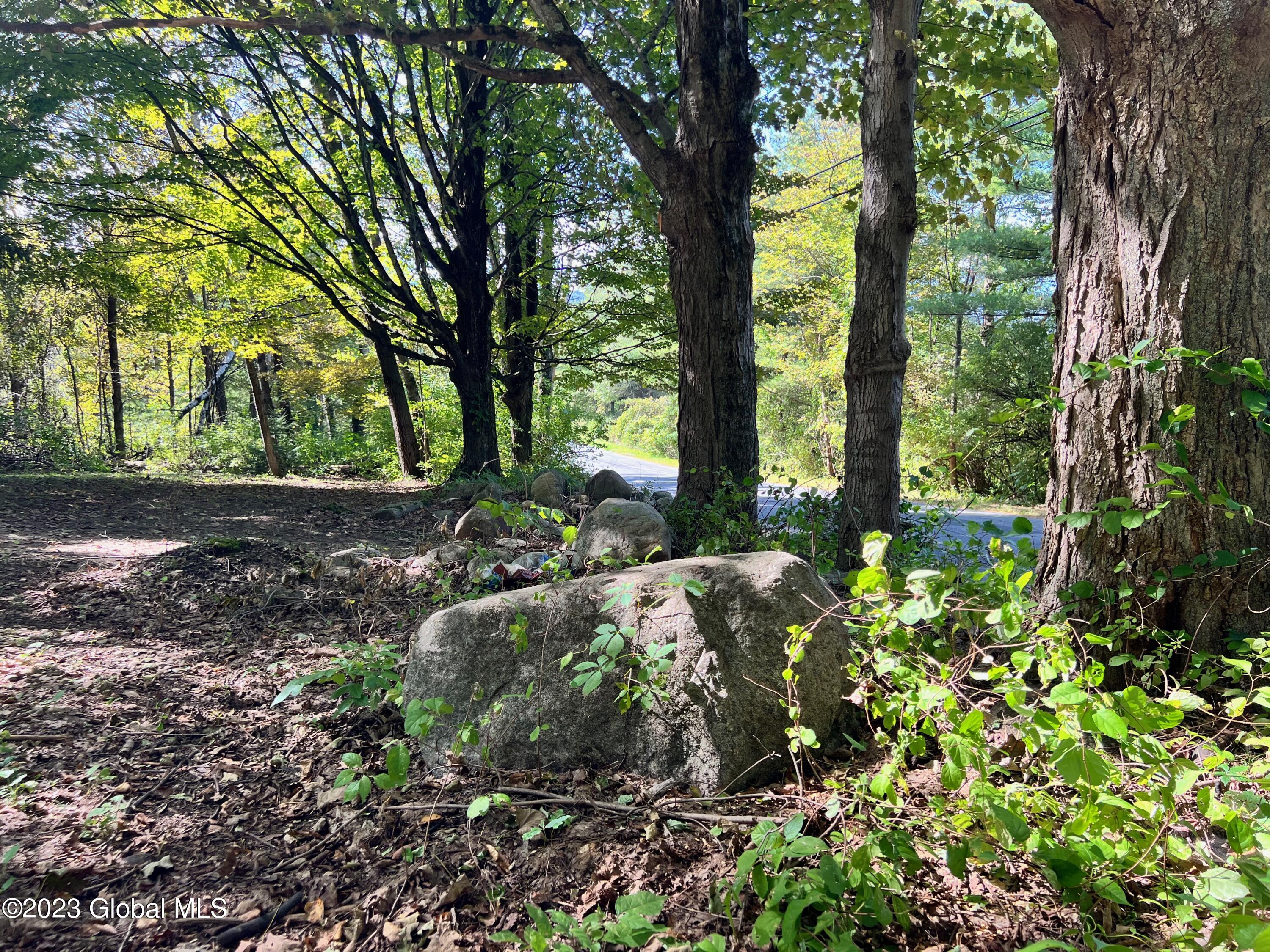 0 Pickle Hill Road Queensbury, NY 12804 - Photo 20 of 48 IMG_1657