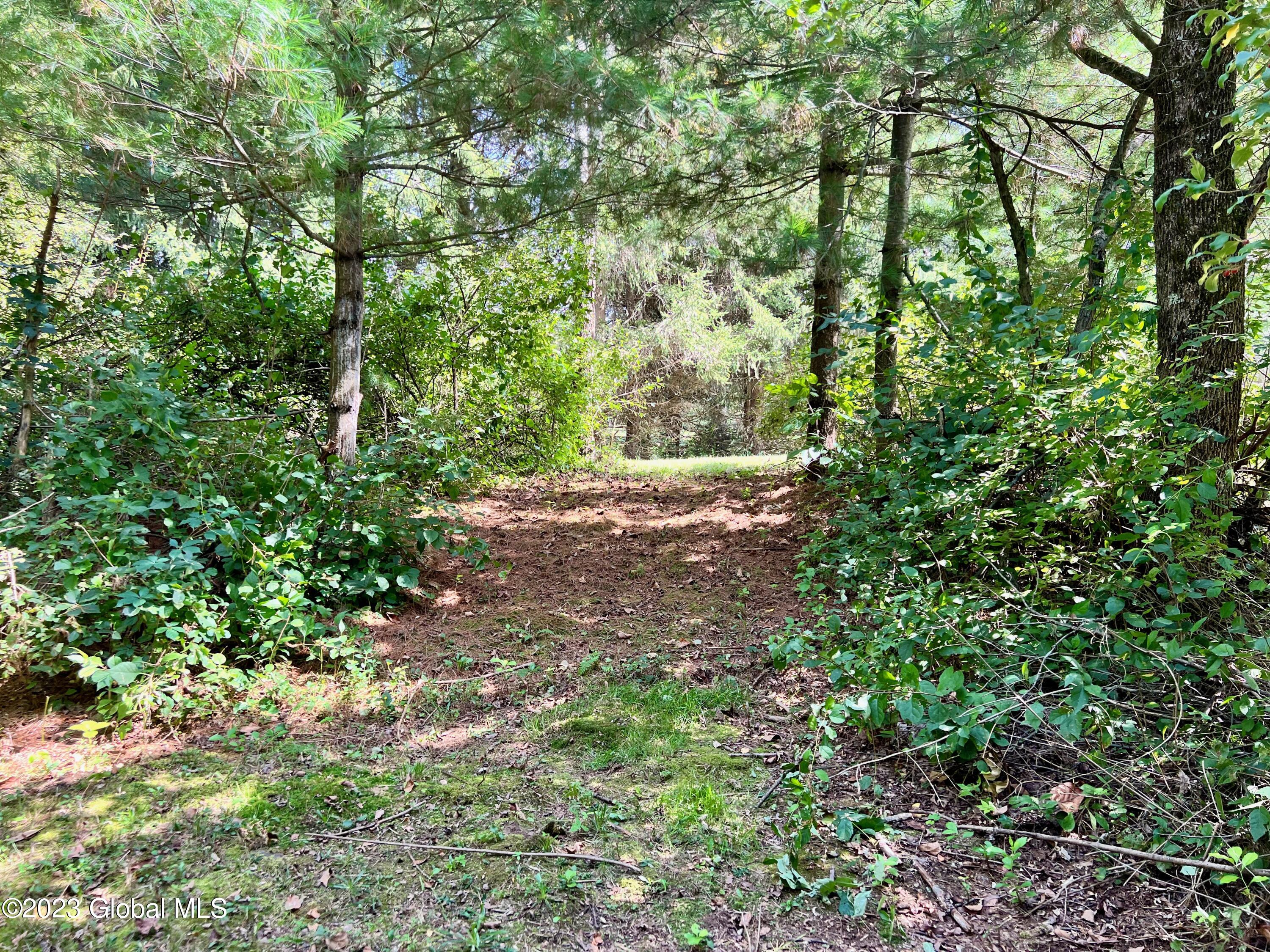 0 Pickle Hill Road Queensbury, NY 12804 - Photo 21 of 48 IMG_1536