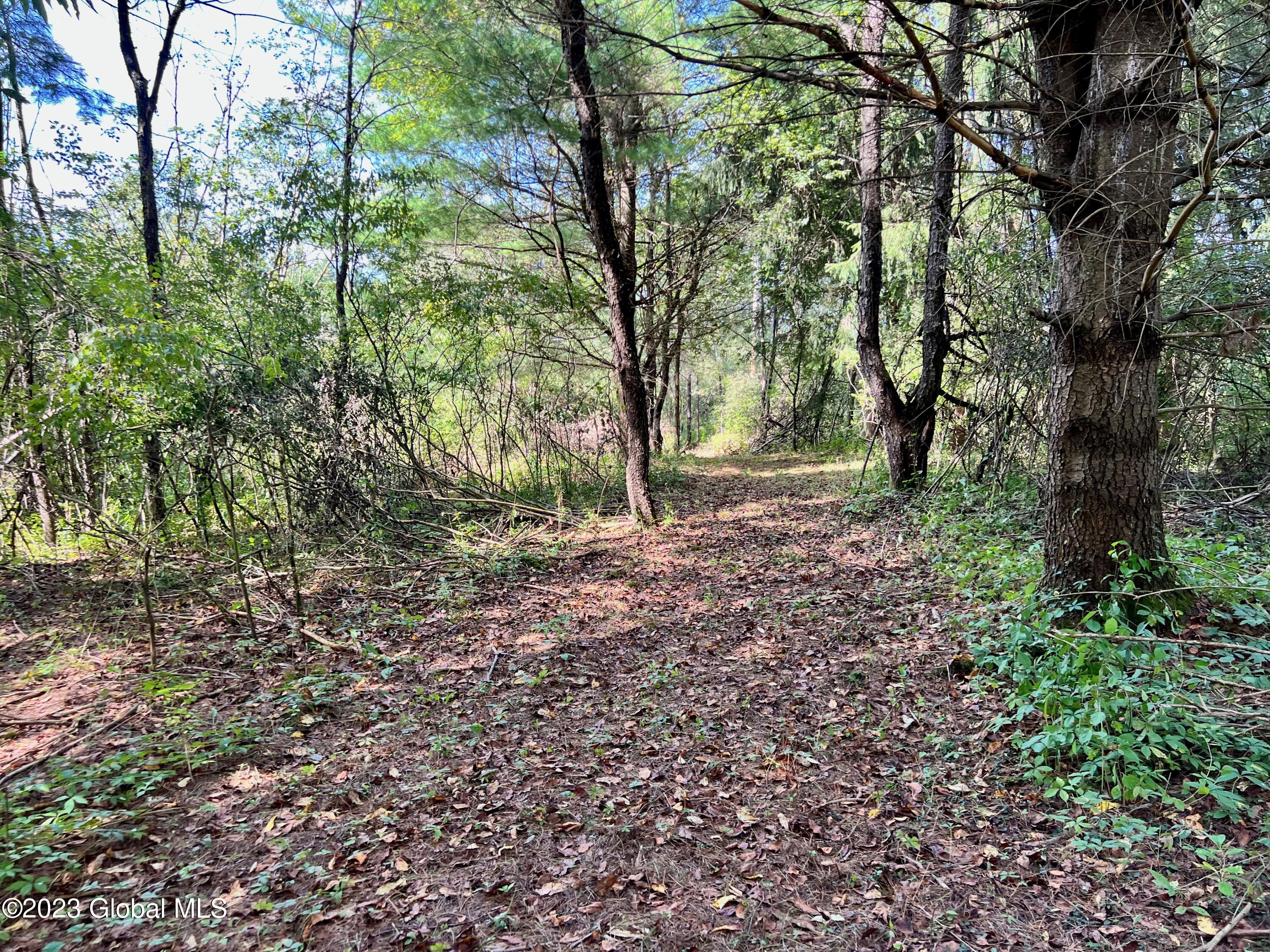 0 Pickle Hill Road Queensbury, NY 12804 - Photo 23 of 48 IMG_1563