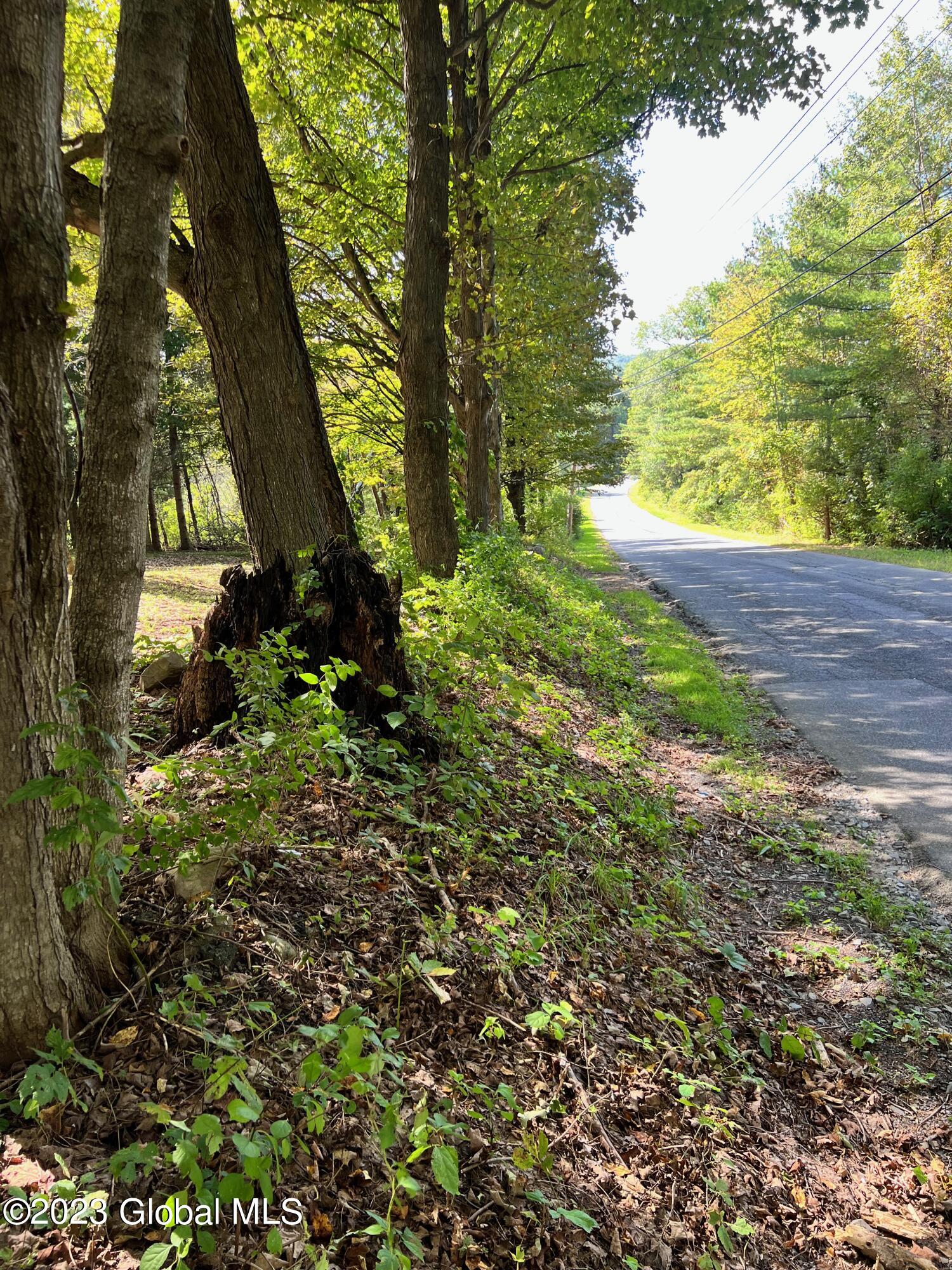 0 Pickle Hill Road Queensbury, NY 12804 - Photo 24 of 48 IMG_1654