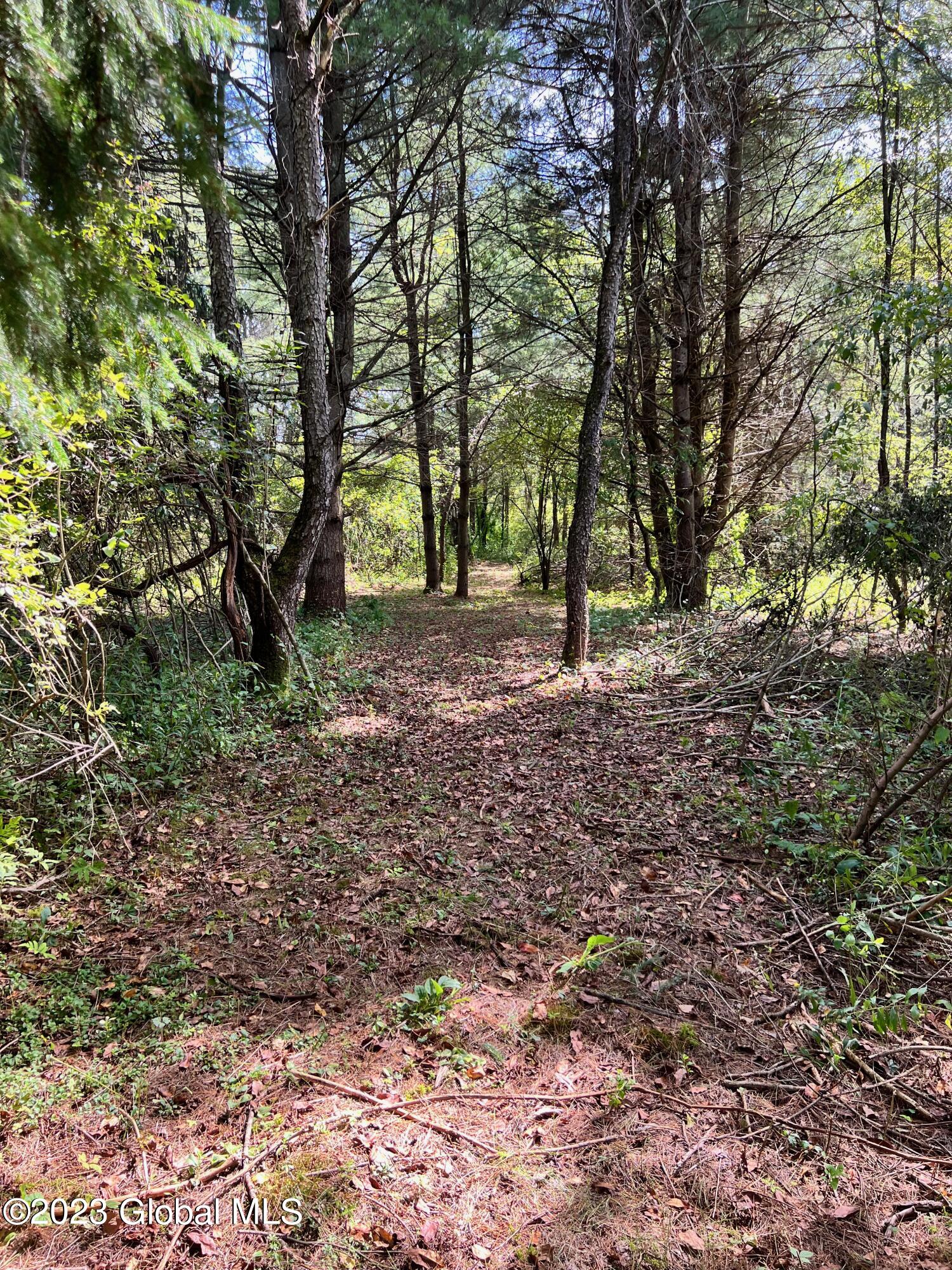 0 Pickle Hill Road Queensbury, NY 12804 - Photo 27 of 48 IMG_1594