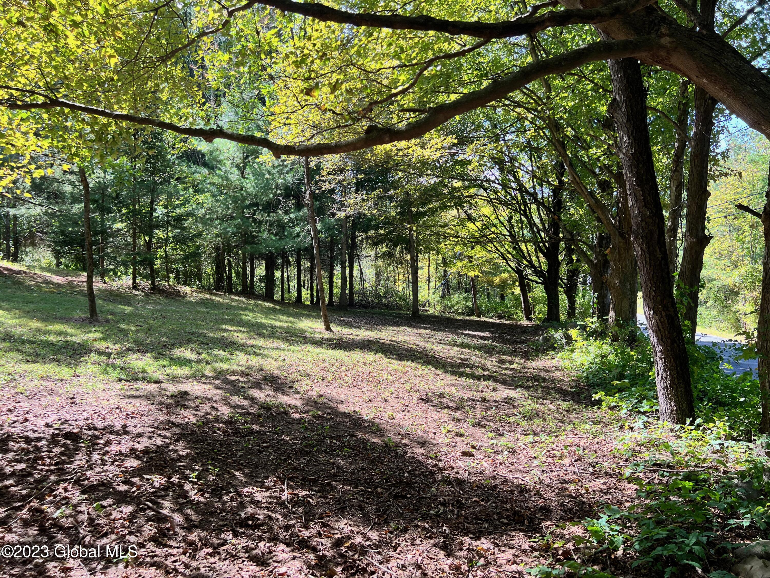 0 Pickle Hill Road Queensbury, NY 12804 - Photo 29 of 48 IMG_1653