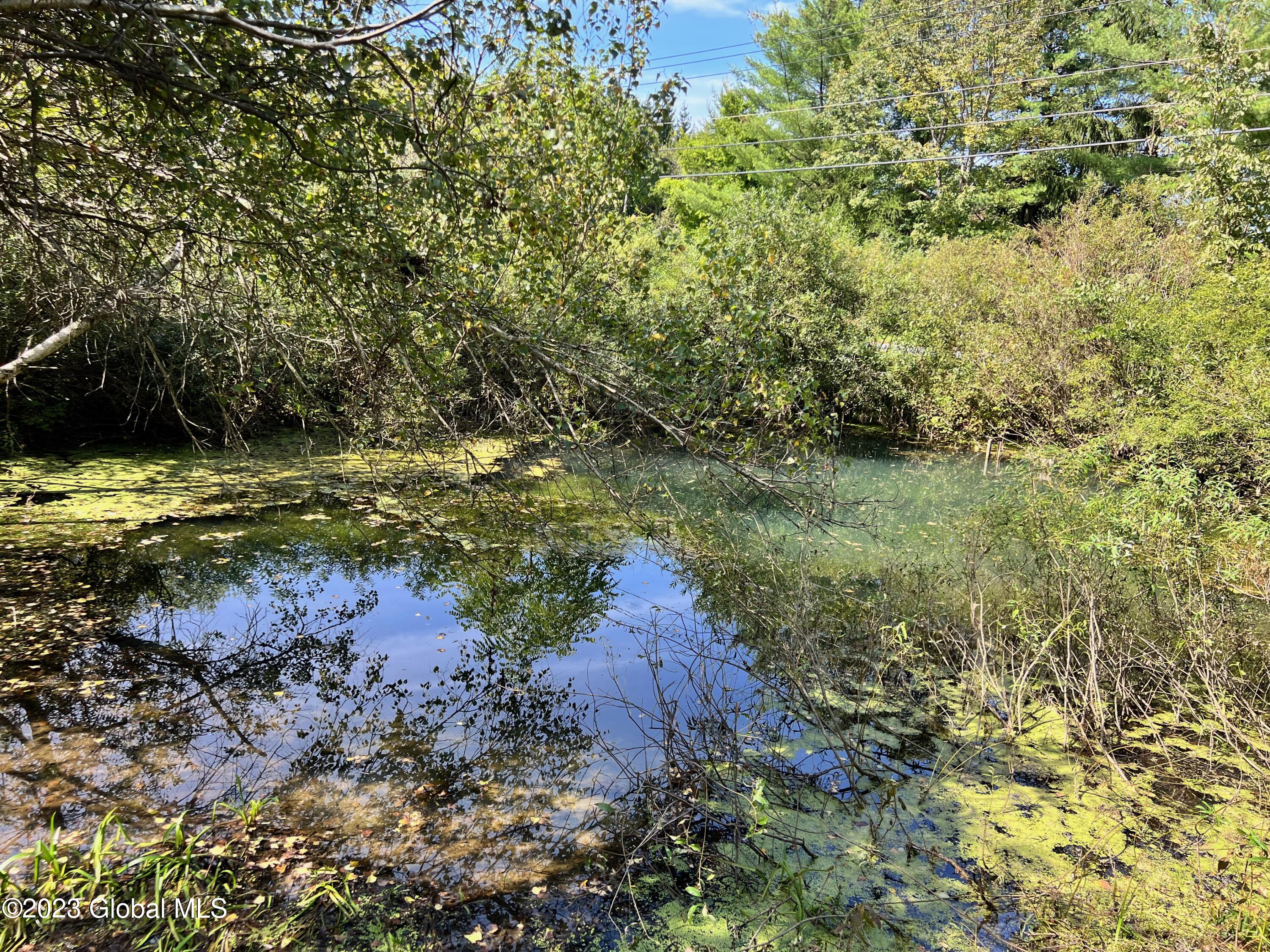 0 Pickle Hill Road Queensbury, NY 12804 - Photo 3 of 48 IMG_1577